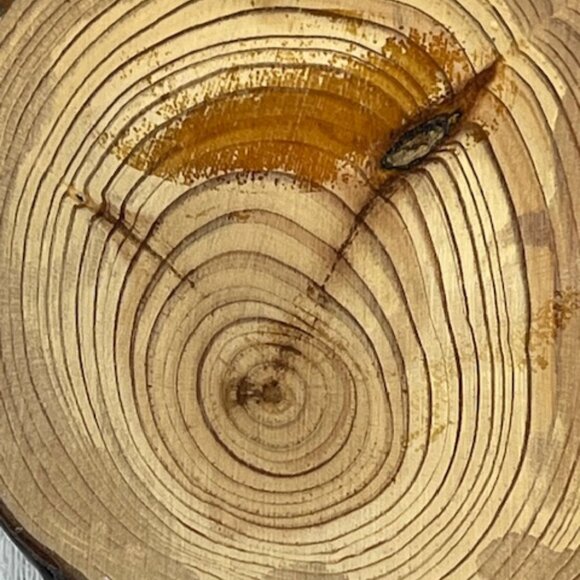 VTG Decoupage Squirrel Acorn on Log Slice Wood Bark Hanging Wall Decor 2.5"x4" - Picture 6 of 8